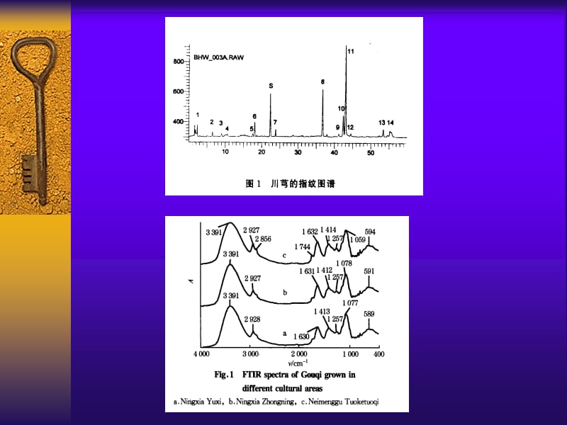 中药指纹图谱的原理与应用.ppt_第3页