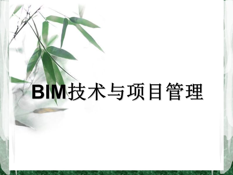 BIM技术与项目管理.ppt_第1页