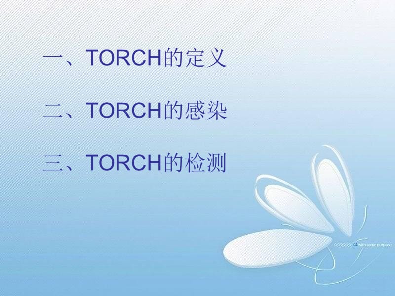 《TORCH的检测》PPT课件.ppt_第2页