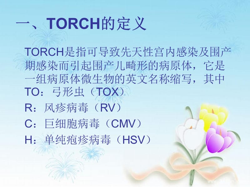 《TORCH的检测》PPT课件.ppt_第3页