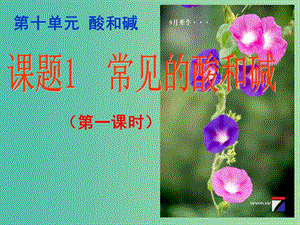 九年級(jí)化學(xué)下冊(cè) 第10單元 課題1 常見(jiàn)的酸和堿課件 新人教版.ppt