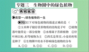 中考生物 專題綜合突破 專題三 生物圈中的綠色植物課件.ppt