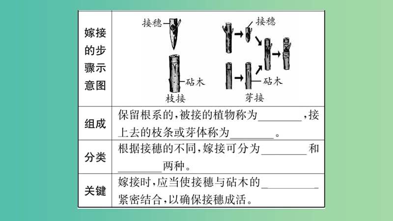 中考生物 知识系统复习 第七单元 生物圈中生物的延续与发展课件.ppt_第3页