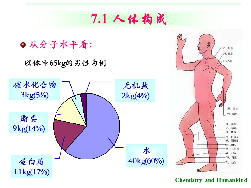 《营养与化学元素》PPT课件.ppt_第3页