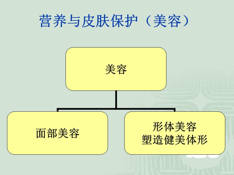 营养与皮肤的关系.ppt_第1页