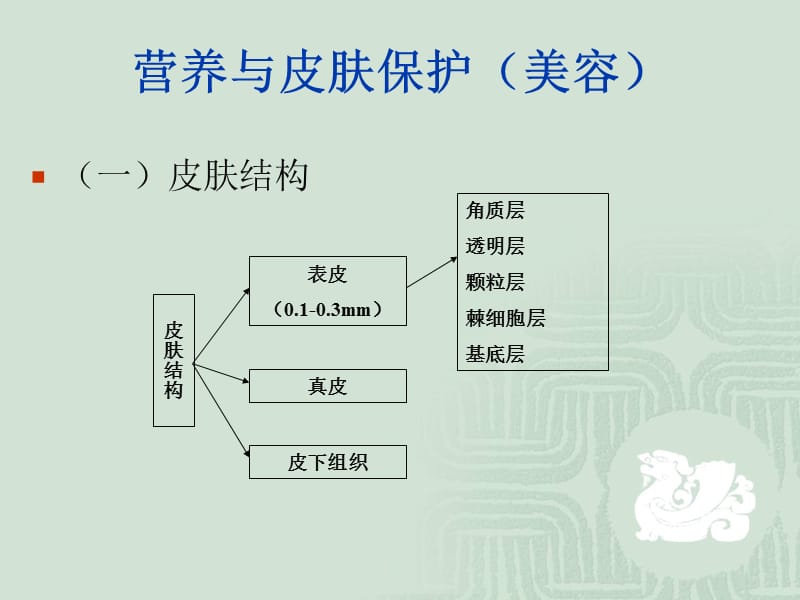 营养与皮肤的关系.ppt_第2页