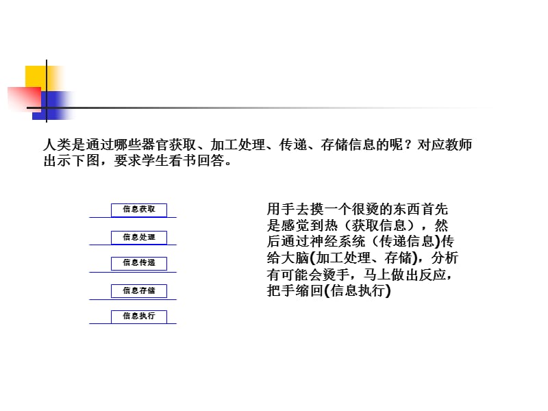 信息技术及其发展.ppt_第3页