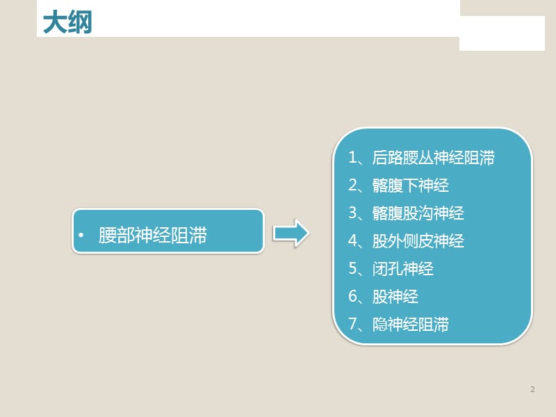 超声引导下腰丛神经阻滞ppt课件_第2页