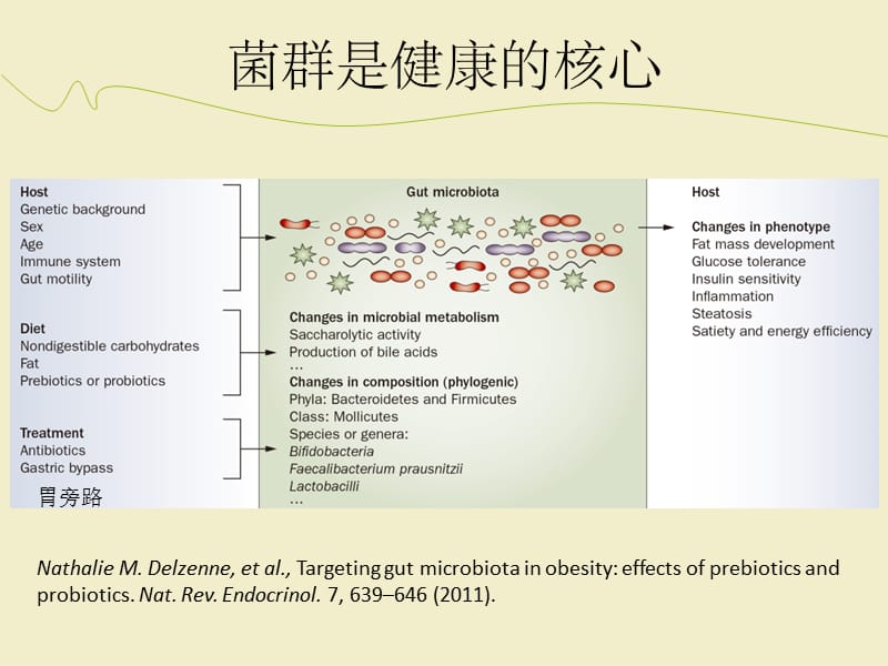 肠道菌群与人体代谢疾病ppt课件(1)_第3页