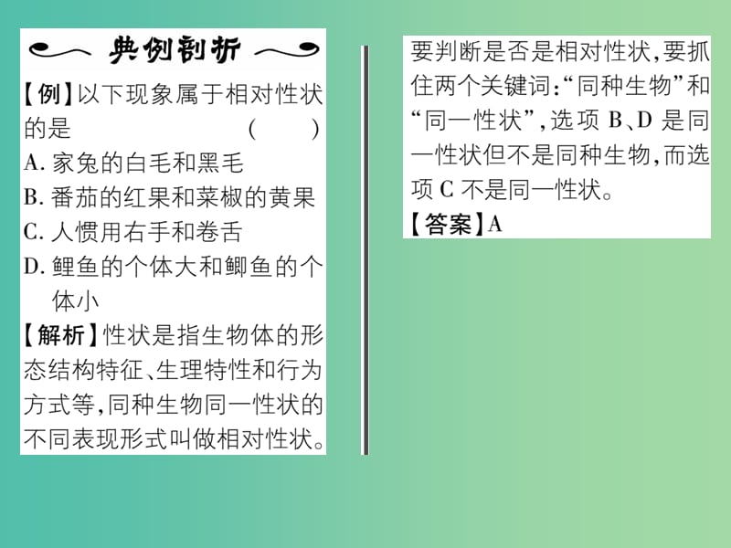 八年级生物下册 第七单元 第二章 第一节 基因控制生物的性状（第1课时 生物的性状）课件 （新版）新人教版.ppt_第3页