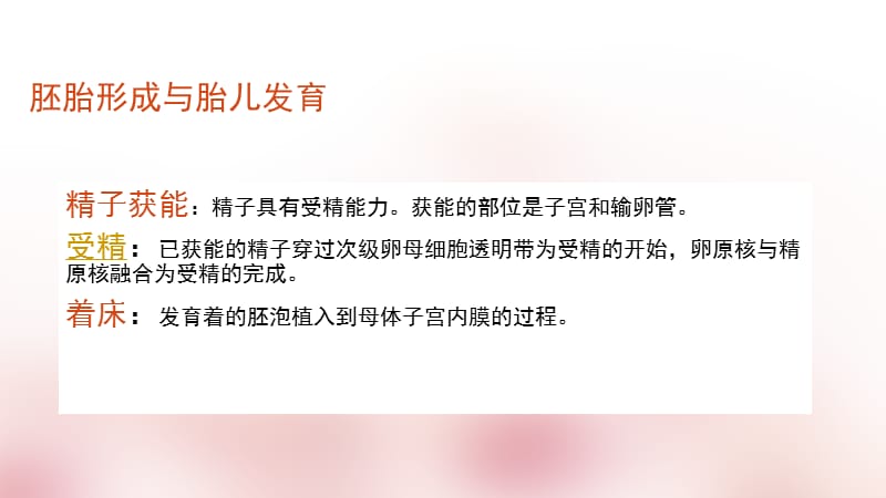 正常妊娠ppt课件_第3页