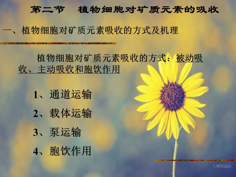 植物对矿质元素的吸收利用.ppt_第2页