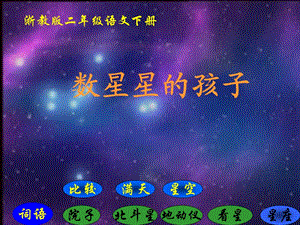 浙教版二年級(jí)語(yǔ)文下冊(cè)《數(shù)星星的孩子1》.ppt