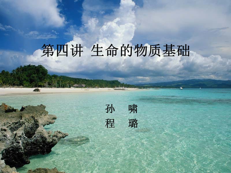 《生命的化学基础》PPT课件.ppt_第1页