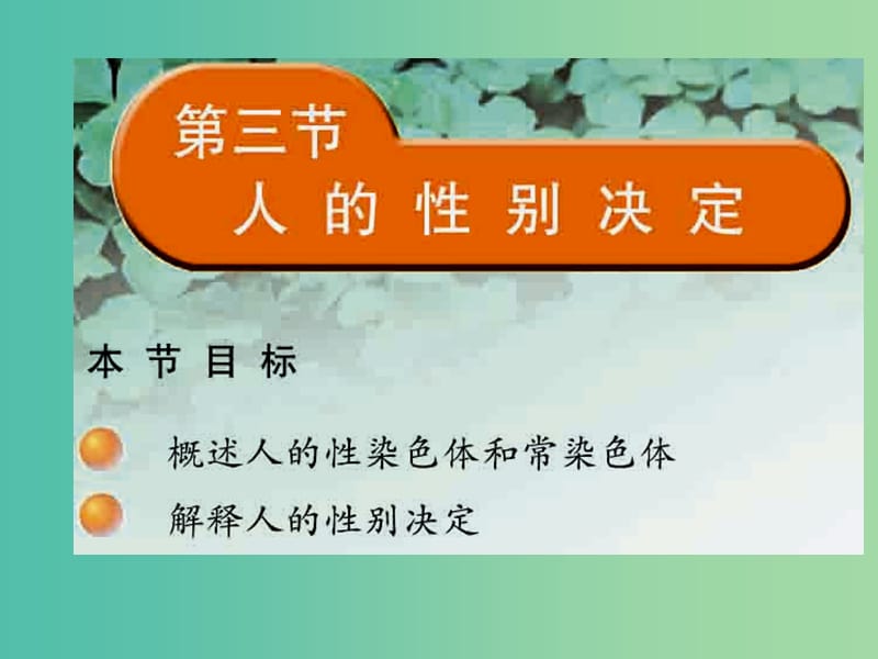 八年级生物下册 22.3 人的性别决定课件 （新版）苏教版.ppt_第1页