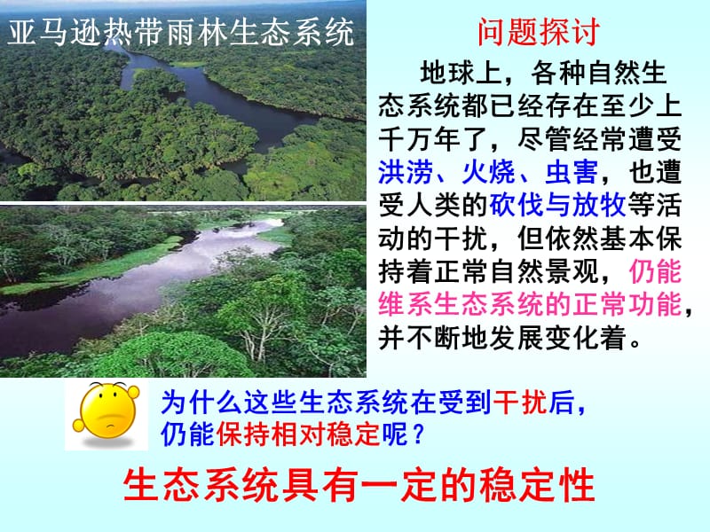 生态系统的稳定性.ppt_第2页