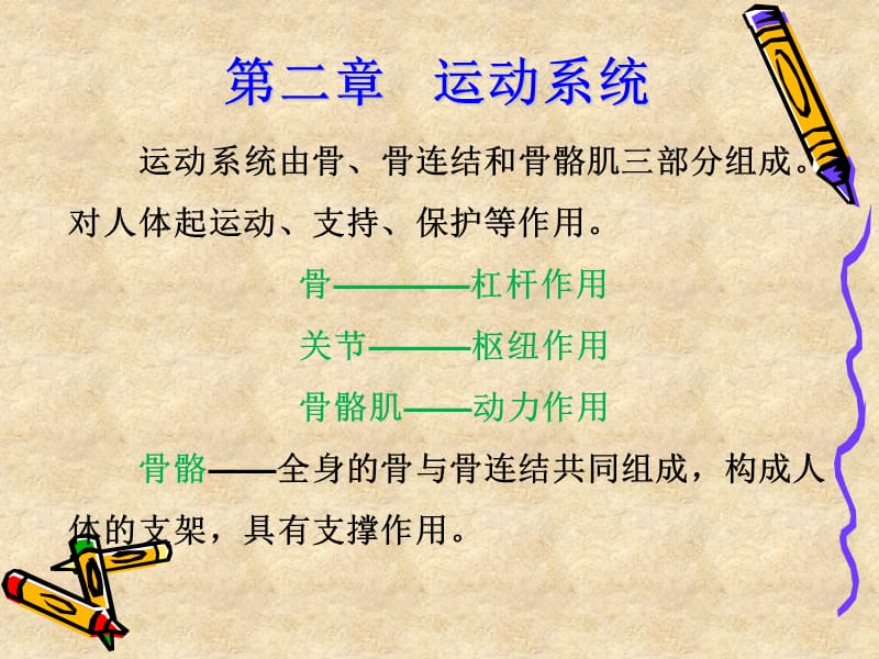 (正常人体结构学)第二章运动系统-骨学.ppt_第2页