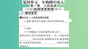 中考生物 知識系統(tǒng)復(fù)習(xí) 第四單元 第一章 人的由來課件.ppt