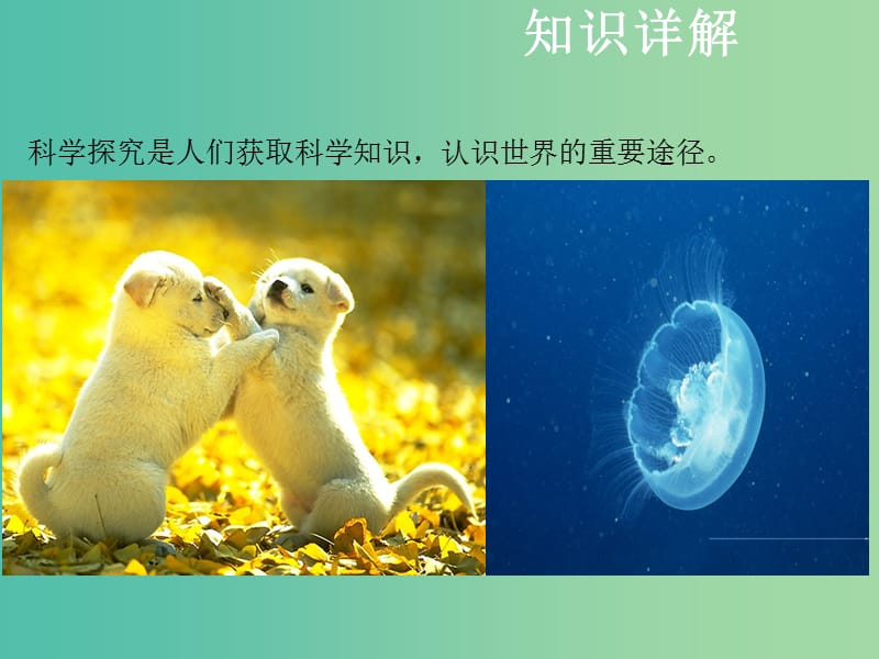 中考生物复习 第一单元 科学探究课件.ppt_第2页