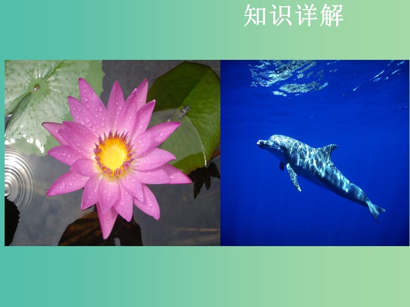 中考生物复习 第一单元 科学探究课件.ppt_第3页