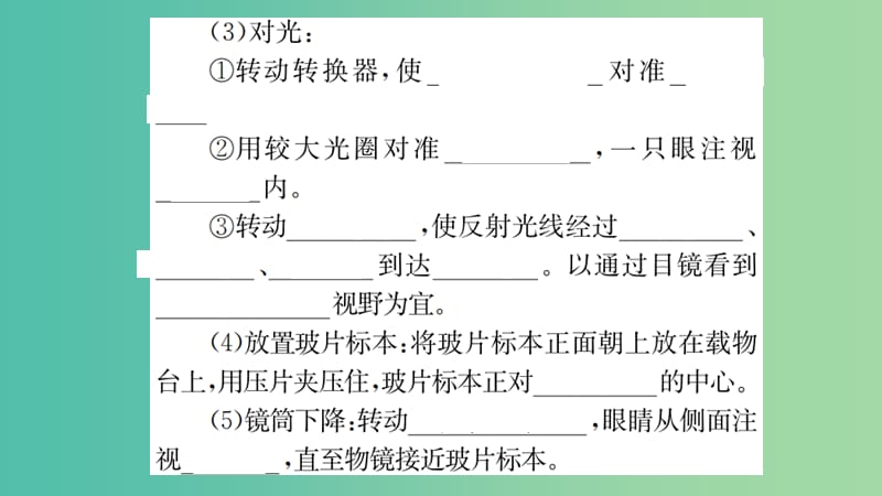 中考生物 知识系统复习 第二单元 生物体的结构层次课件.ppt_第3页