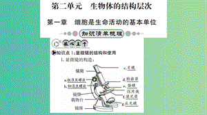 中考生物 知識系統(tǒng)復(fù)習(xí) 第二單元 生物體的結(jié)構(gòu)層次課件.ppt