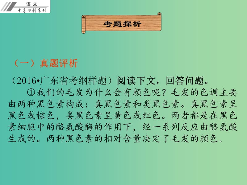 中考语文总复习 第二部分 阅读 第二章 现代文阅读 第二节 说明文本阅读课件.ppt_第3页