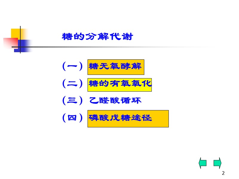 糖代谢ppt课件_第2页