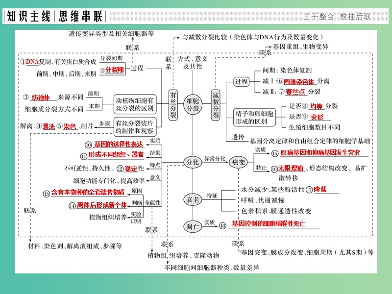 高考生物二轮复习 第三单元 细胞的生命历程（含减数分裂）课件.ppt_第2页