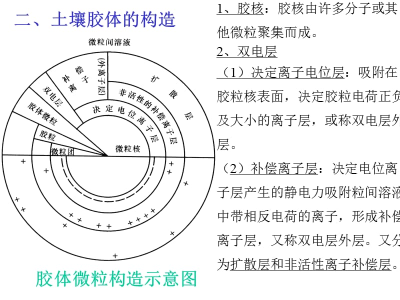 土壤胶体与吸附性.ppt_第3页