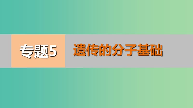 高考生物二轮专题复习 专题5 遗传的分子基础课件.ppt_第1页