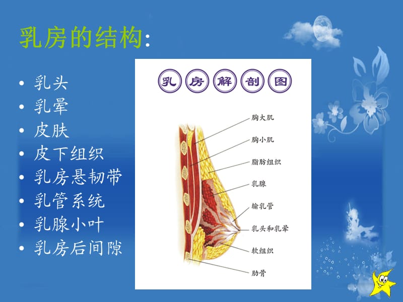 乳汁淤积期的护理.ppt_第3页