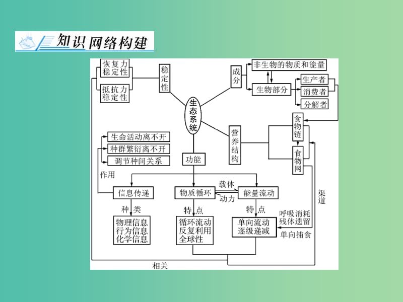 高考生物一轮总复习 第5章 生态系统及其稳定性章末知识提升课件（必修3）.ppt_第2页