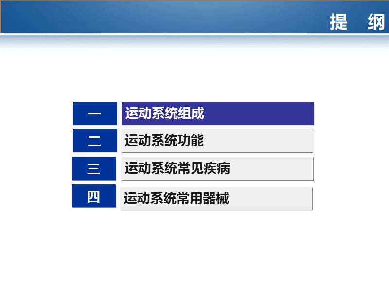 《运动系统》PPT课件.ppt_第2页