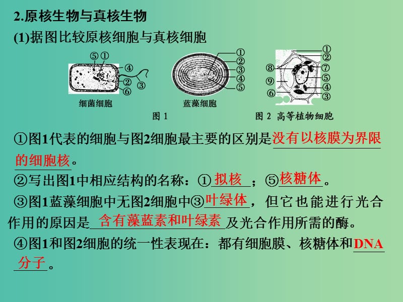 高考生物 第一单元 专题二 细胞的结构和功能课件.ppt_第3页