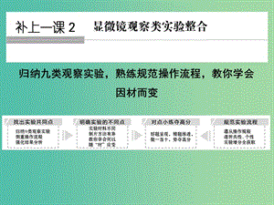 高考生物一輪復習 第2單元 細胞的基本結構與物質運輸 補上一課2 顯微鏡觀察類實驗整合課件 新人教版.ppt