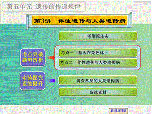 高考生物一輪復(fù)習(xí) 第五單元 第3講 伴性遺傳與人類遺傳病課件.ppt