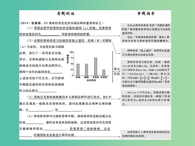 高考生物二轮专题复习 体系通关2 高频考点3 变异、育种与进化（含基因频率计算）课件.ppt_第2页