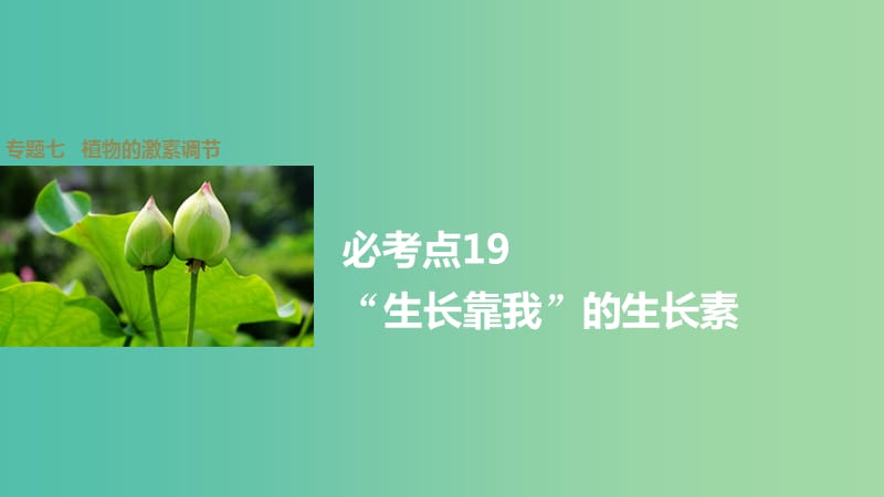 高考生物大二轮总复习 增分策略 专题七 必考点19“生长靠我”的生长素课件.ppt_第1页