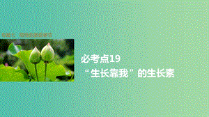 高考生物大二輪總復(fù)習(xí) 增分策略 專題七 必考點(diǎn)19“生長(zhǎng)靠我”的生長(zhǎng)素課件.ppt