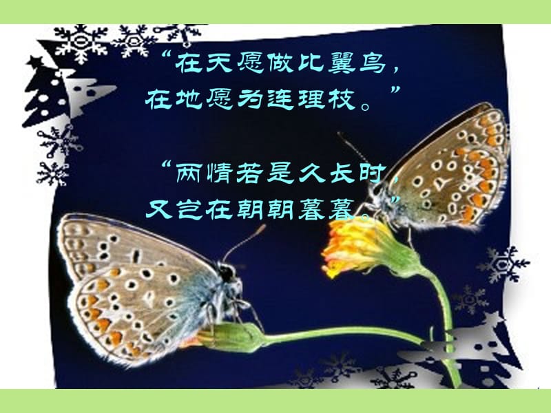 中职语文基础(上册)爱情诗二首-致橡树.ppt_第1页