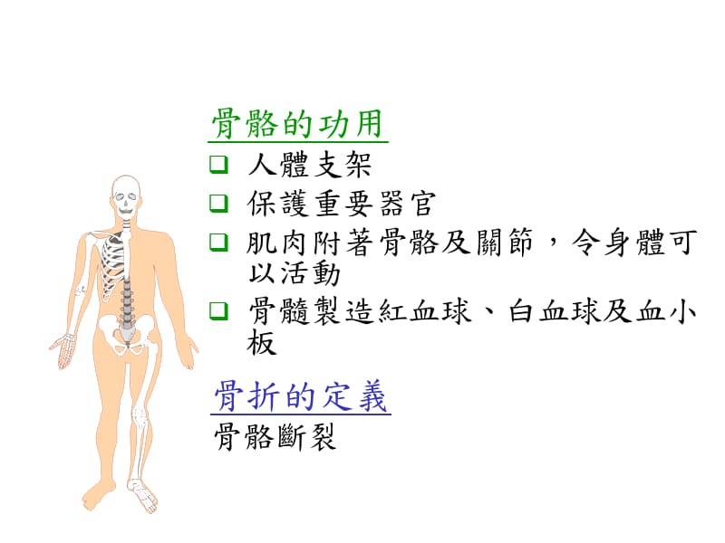 《骨折急救》PPT课件.ppt_第3页