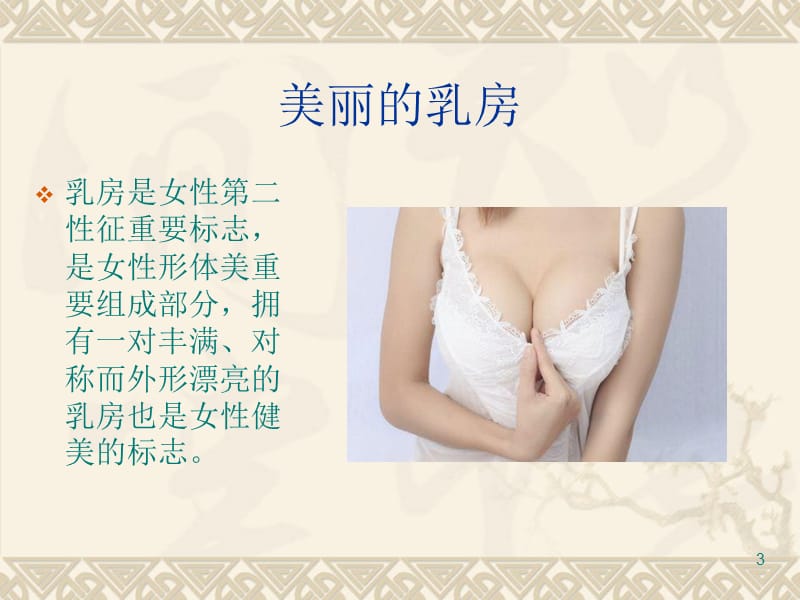 乳腺癌健康讲座ppt课件_第3页