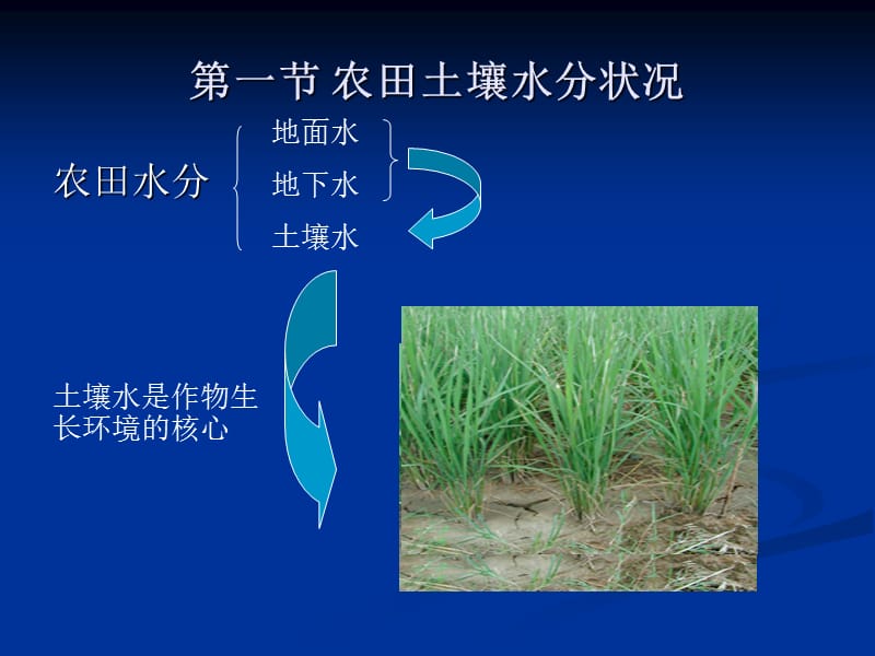 《灌溉排水工程学》.ppt_第2页