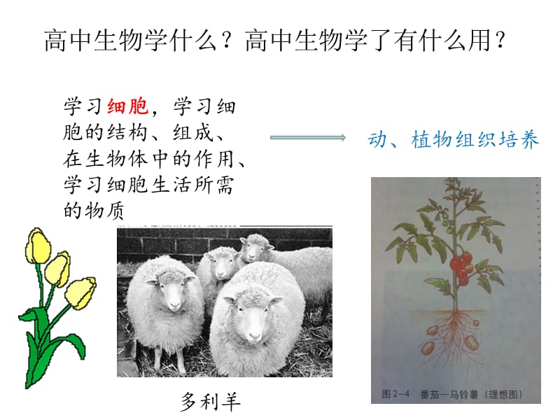 人教版高中生物必修一第一章课件.ppt_第2页