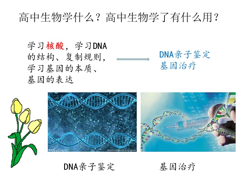 人教版高中生物必修一第一章课件.ppt_第3页