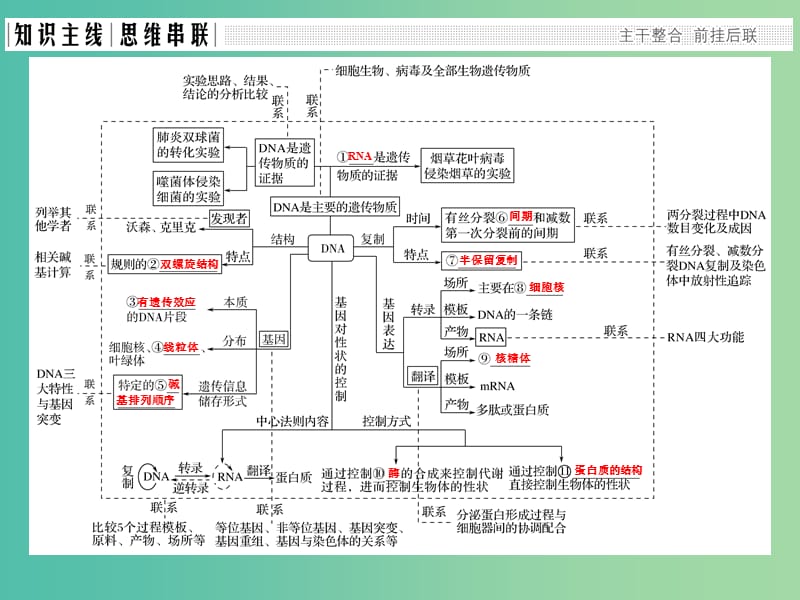 高考生物二轮复习 第四单元 遗传变异与进化 专题一 遗传的分子基础课件.ppt_第2页