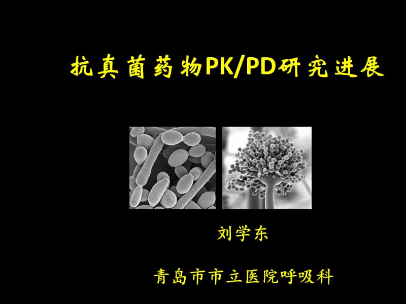 《抗真菌药物PKPD》PPT课件.ppt_第1页