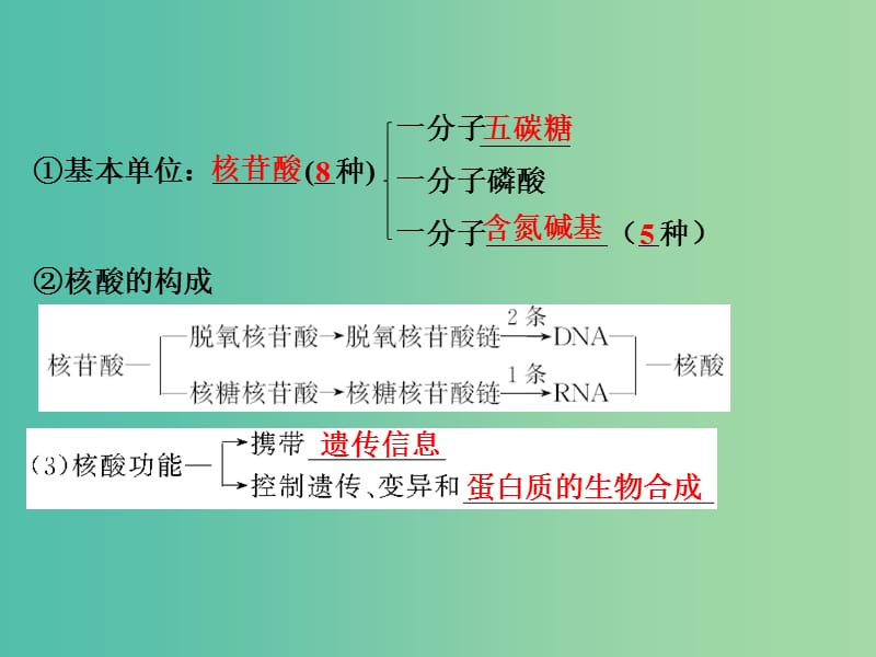 高考生物一轮复习 第1单元 细胞的分子组成 第4讲 核酸及细胞中的糖类和脂质课件 新人教版.ppt_第3页