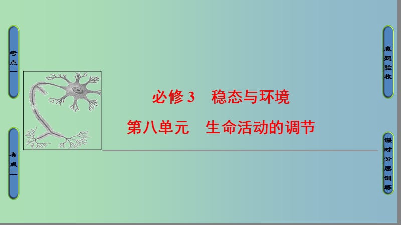 高三生物一轮复习第8单元第1讲人体的内环境与稳态课件新人教版.ppt_第1页